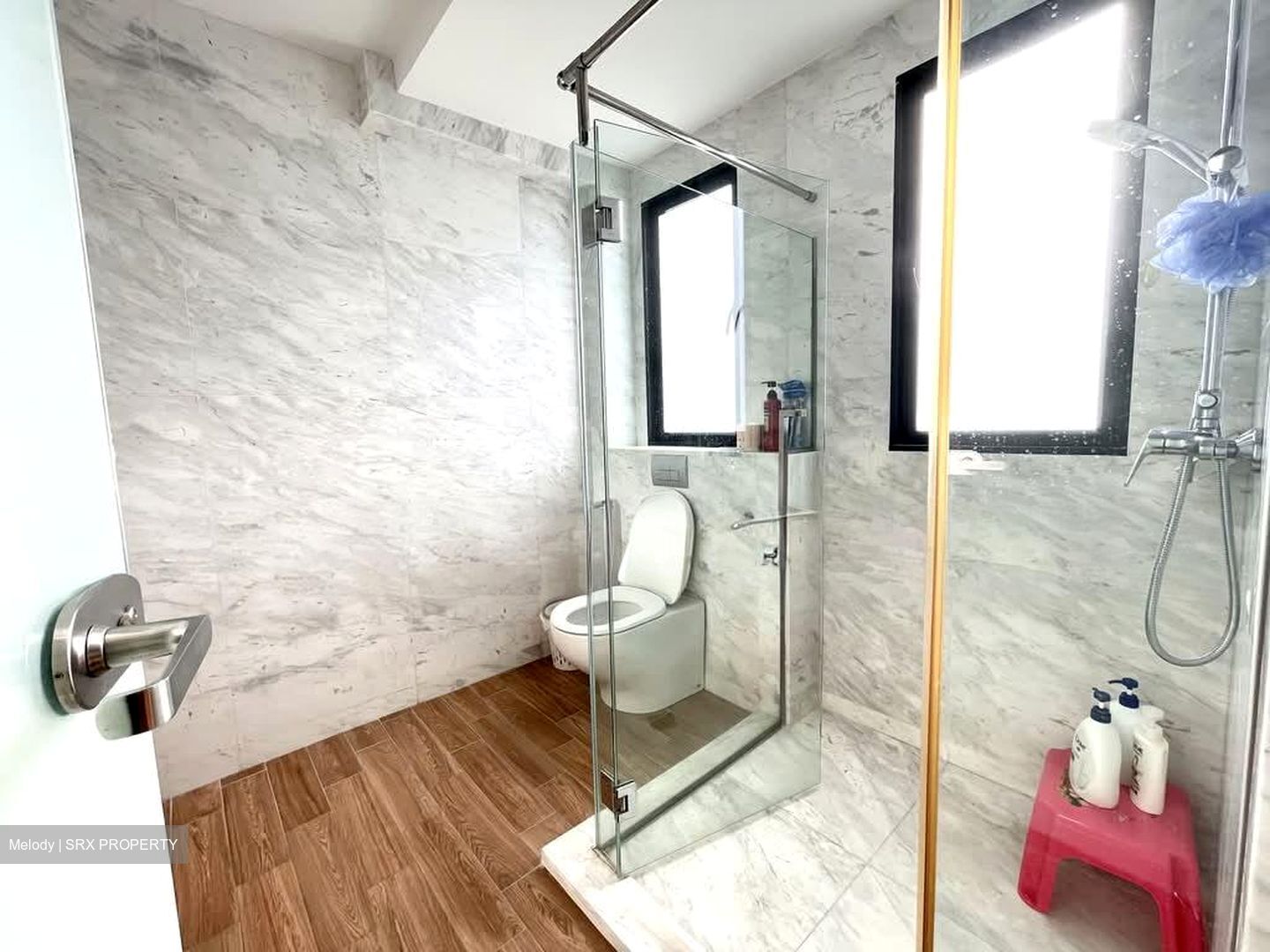 Braddell Heights Estate (D13), Semi-Detached #570201491
